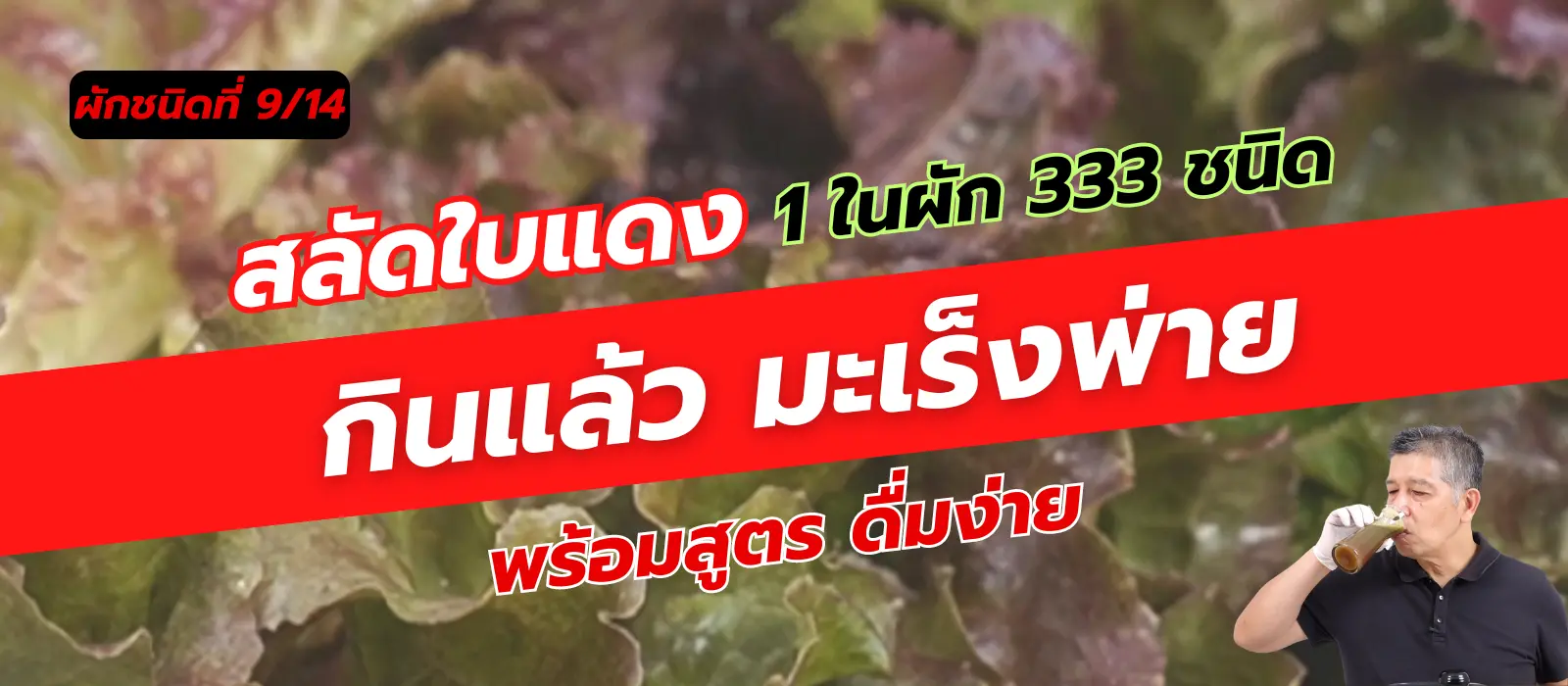 สลัดใบแดง 1 ใน 14 ผักต้านมะเร็ง คัดมาจากผัก 333 ชนิด 